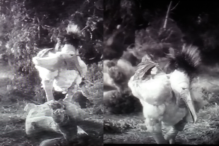 Johnny Eck In Tarzan Escapes Arthur O Dwyer Stuff Mostly About C